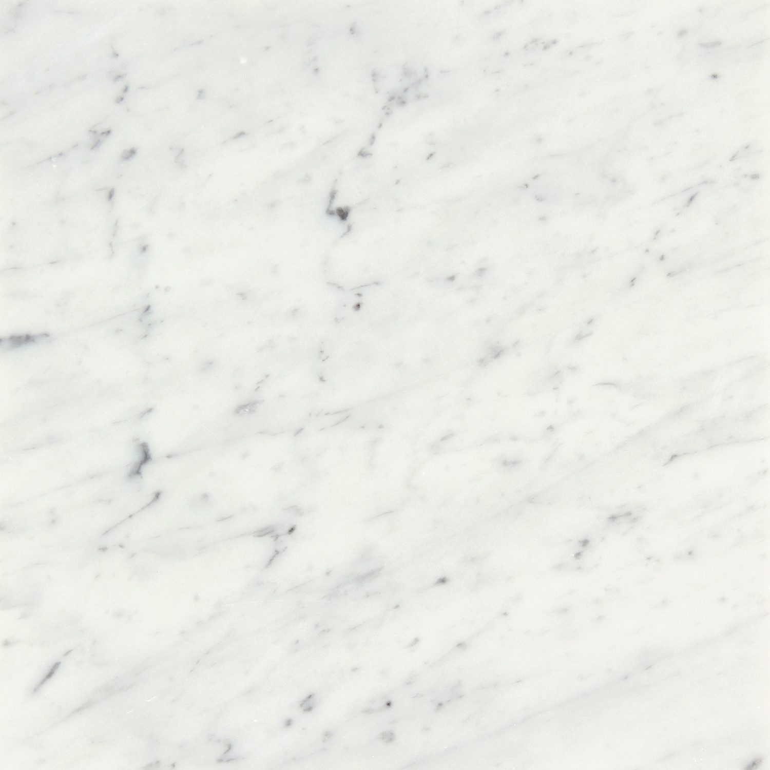 Bianco Carrara Polished » Otto Tile